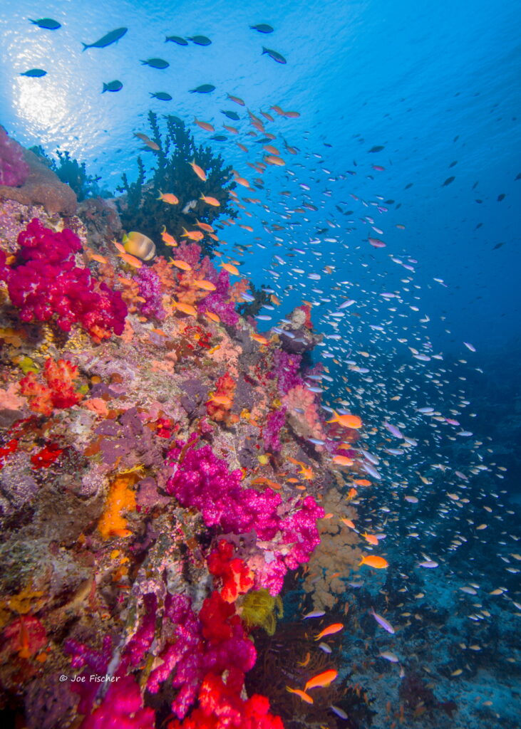 underwater-photography-class