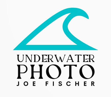 underwater photo Joe Fischer